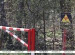 Эксперт: выпавшие на Беларусь после аварии на ЧАЭС стронций и цезий распались на 62-64%