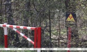 Эксперт: выпавшие на Беларусь после аварии на ЧАЭС стронций и цезий распались на 62-64%