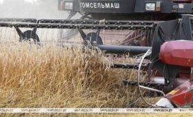 Техника к жатве: хозяйства Минской области получили 100 новых комбайнов