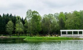Уникальный генофонд: Ботанический сад представил элиту лекарственных растений