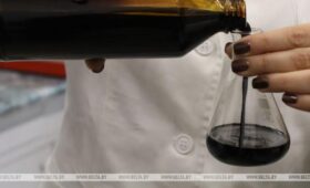 Глава французской энергетической компании заявил об угрозе дефицита энергоносителей
 | Новости Беларуси | БелТА