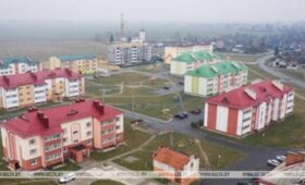 Как в Гомельской области налажен контроль безопасности продукции, производимой на загрязненных территориях