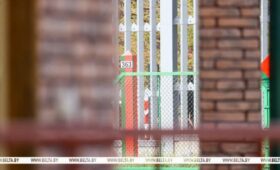 Граждане Польши Гжегож Гавел и Томаш Бероза поблагодарили Президента Беларуси за освобождение 