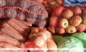 Правительство установило объемы поставки плодоовощной продукции для госнужд на межсезонье 2026/2027