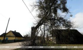 Больше половины проданных пустующих домов в Беларуси реализованы за одну базовую величину