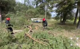 Упавшие деревья и два поврежденных авто. Спасатели более 30 раз выезжали на ликвидацию последствий непогоды