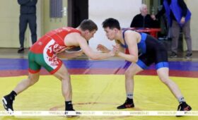 Турнир по вольной борьбе, посвященный памяти заслуженного тренера БССР Валерия Зубкова, открылся в Витебске