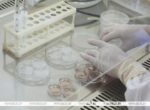 Расходы республиканского бюджета на выполнение бесплатной попытки ЭКО за пять лет составили около 29 млн руб.