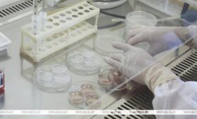 Расходы республиканского бюджета на выполнение бесплатной попытки ЭКО за пять лет составили около 29 млн руб.