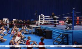 Чемпионы мира по боксу Цзю и Пирог провели мастер-класс для участников мемориала Ботвинника