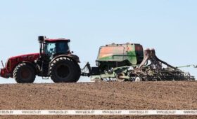 В Беларуси засеяли половину площадей яровых культур