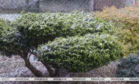 Снег в конце апреля? Синоптики рассказали, где он выпал сегодня в Беларуси