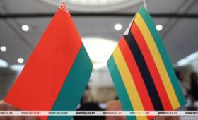 Модернизация зернохранилищ и опыт строительства АЭС: посол рассказал о сотрудничестве Беларуси и Зимбабве 