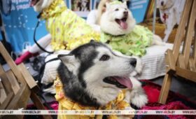 Старт нового сезона. Международная выставка-ярмарка «Отдых-2026» открылась в Минске