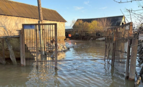 В Дагестане из-за обильных дождей отключилось электричество в 139 населенных пунктах | Новости Беларуси | БелТА