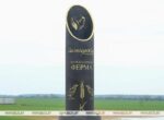 На Солигорской птицефабрике развивается перепелиная ферма. В чем ее инновационность?