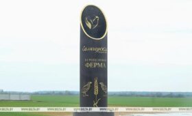На Солигорской птицефабрике развивается перепелиная ферма. В чем ее инновационность?