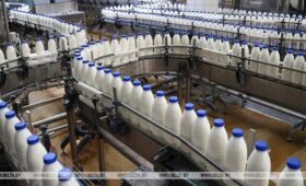 Брестские мясо и молочку знают в Малайзии и Кот-д’Ивуаре, дорожную технику — в странах Персидского залива