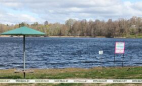 ОСВОД: более 500 мест массового отдыха подготовлено к купальному сезону