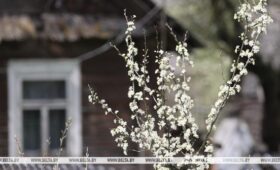 Ветрено и без осадков. Синоптики рассказали о погоде 24 апреля