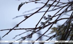 Оранжевый уровень опасности из-за ветра объявлен на 6 апреля в Беларуси