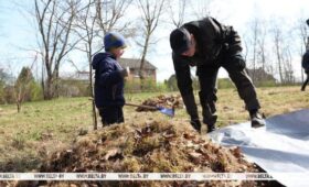 Белстат: более 20 млн рублей заработано на республиканском субботнике