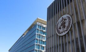 ВОЗ провела учения по реагированию на глобальную вспышку нового инфекционного заболевания | Новости Беларуси | БелТА