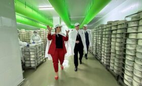 Производят сыры с голубой плесенью, увеличивают мощности. Турчин посетил участок молокозавода в Мядельском районе