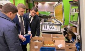 Российский Нижнекамск заинтересован в обновлении трамвайного парка техникой «БКМ Холдинг»