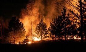 Лесные пожары на юго-востоке США уничтожили более 120 домов   | Новости Беларуси | БелТА