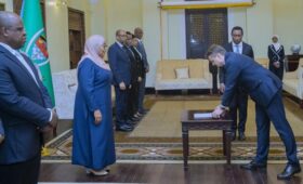 Посол Беларуси вручил верительные грамоты Президенту Танзании