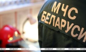 В МЧС предупредили о факторах опасности при сильном ветре