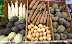 Минсельхозпрод установил предельные максимальные цены на овощи и яблоки для госнужд