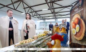 Новую породу перепелов планируют вывести в Беларуси