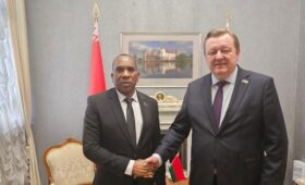 Политический диалог, расширение торговых связей. Алейник встретился с послами Ганы и Танзании