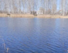 Мужчина утонул в озере в Кормянском районе 