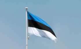 Правительство Эстонии одобрило возможность привлечения союзников к охране границы в кризисных ситуациях
 | Новости Беларуси | БелТА