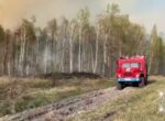 Работники МЧС, лесхоза и сельхозпредприятий ликвидируют лесной пожар в Пинском районе