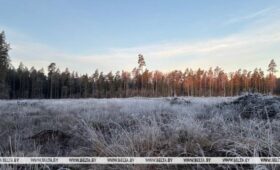 В Беларуси объявлено штормовое предупреждение на 24 апреля из-за заморозков