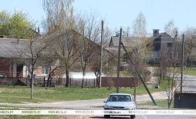 Соцподдержка, сельское и лесное хозяйство. Как развиваются пострадавшие от аварии на ЧАЭС регионы