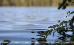 Белгидромет фиксирует спад уровней воды на большинстве водоемов