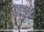 Ждать ли заморозков 28 апреля в Беларуси, ответили синоптики