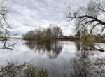Решил переплыть на полуостров. Мужчина утонул в озере Лепельское