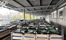 Более 80 тонн груш пытались незаконно вывезти из Беларуси 