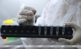 Власти ДР Конго: от предполагаемых случаев лихорадки Эбола умерли почти 120 человек | Новости Беларуси | БелТА