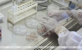 В Бангладеш за сутки зафиксирована рекордная смертность от кори и схожих симптомов | Новости Беларуси | БелТА