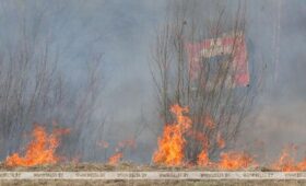 За сутки в Беларуси ликвидировано 17 возгораний в экосистемах