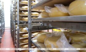 Минсельхозпрод изменил экспортные цены на некоторые молочные продукты