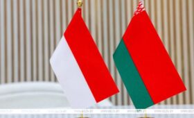 Беларусь посещает индонезийская делегация во главе с координирующим министром по экономическим вопросам
