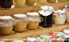 Беларусь экспортировала около 100 тонн меда и пчеловодческой продукции в 2025 году 